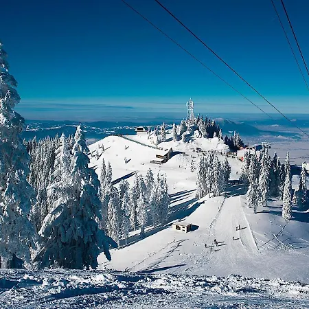 Luxury Mountain 409 Apartment